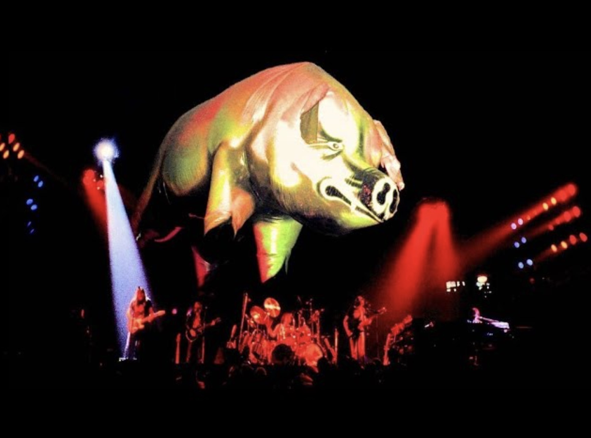 The iconic inflatable pig over a concert